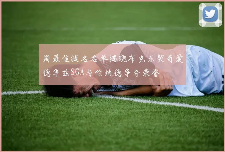周最佳提名名单揭晓布克东契奇爱德华兹SGA与伦纳德争夺荣誉