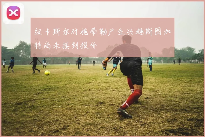纽卡斯尔对施蒂勒产生兴趣斯图加特尚未接到报价